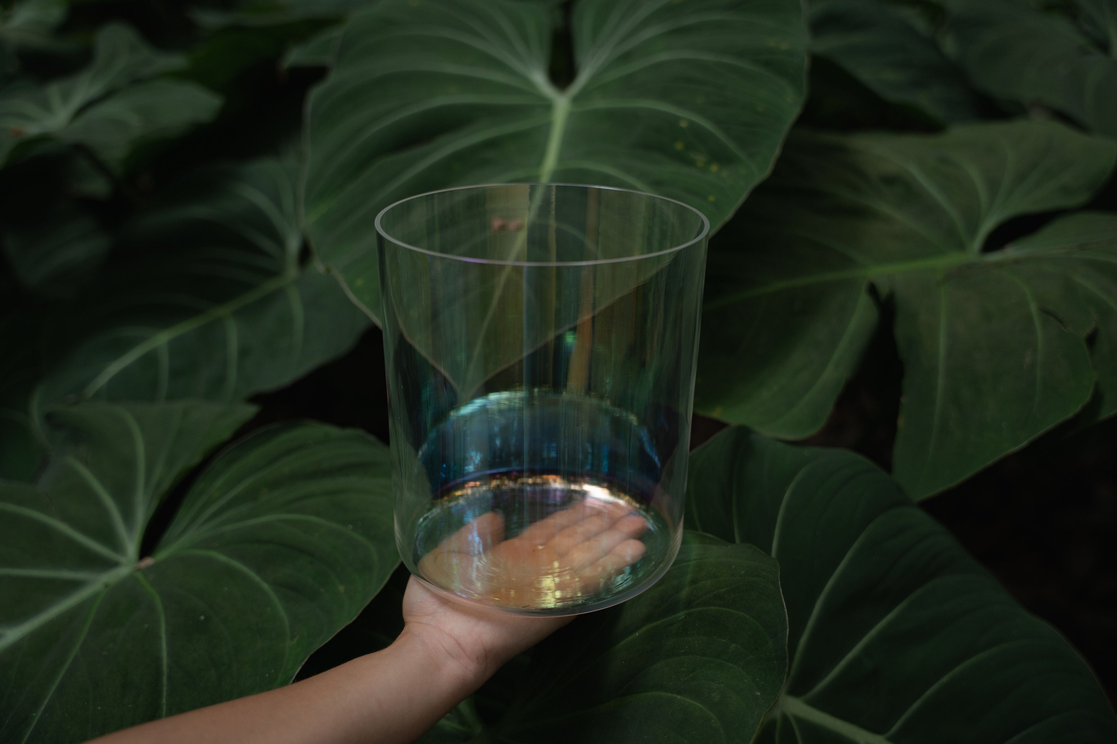 Terratone clear crystal singing bowl in tropical nature setting