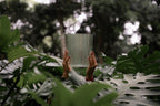 Green Terratone crystal singing bowl surrounded by tropical monstera leaves