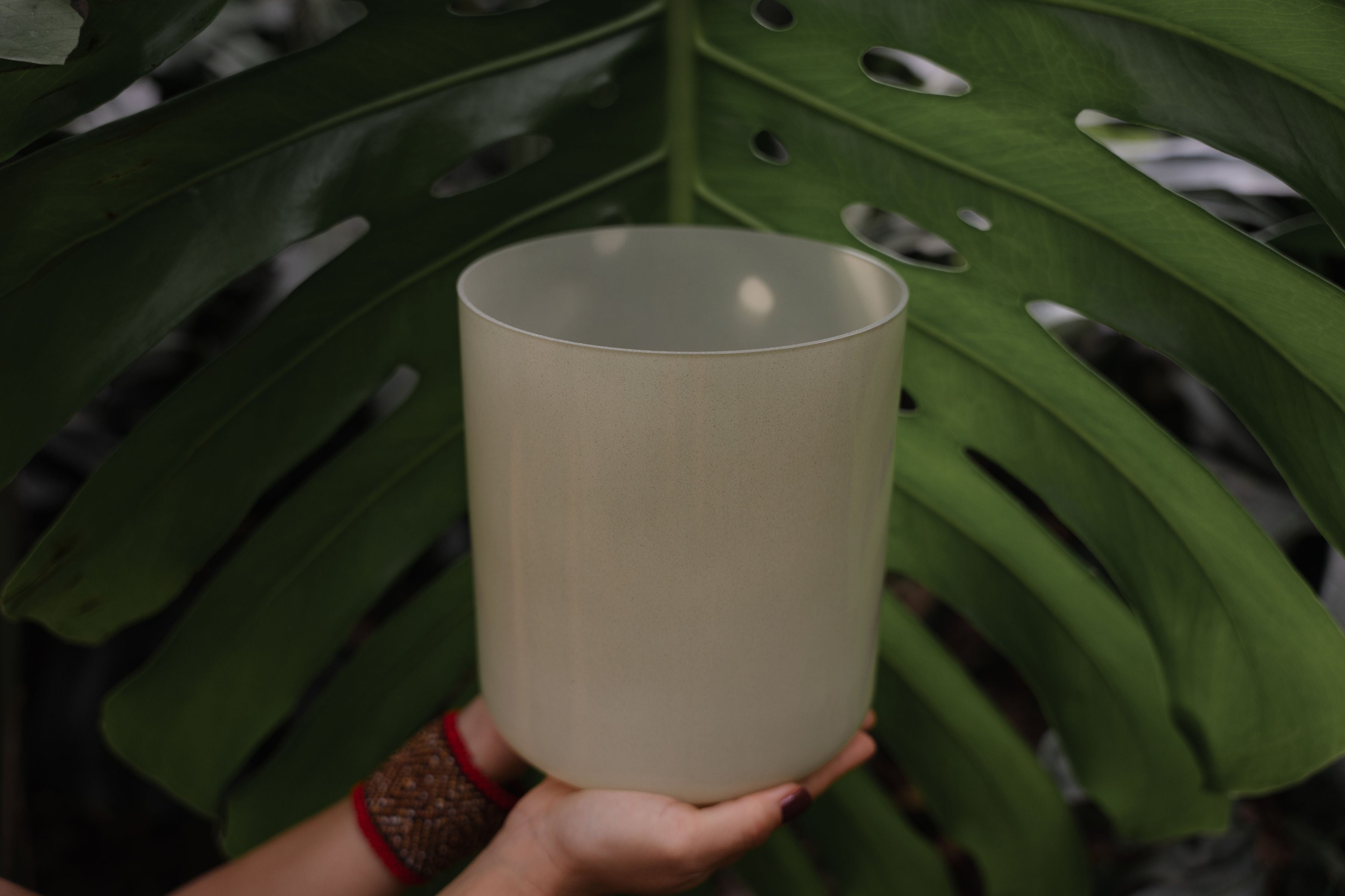 Terratone crystal singing bowl surrounded by tropical green foliage inspired by nature and grounded design